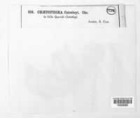 Image Associated With the Occurence